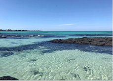 Ocean with shallow waters and rocks