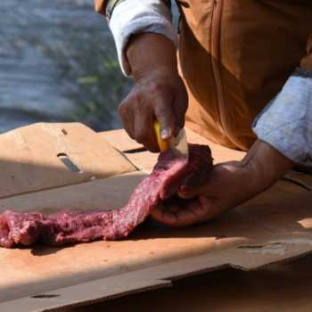 thumbnail of preparing meat in on-the-land-camp
