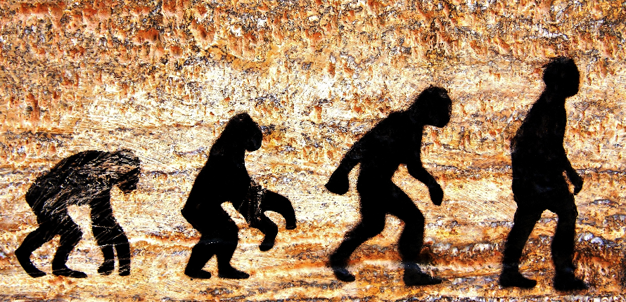 Depiction of evolutionary biology