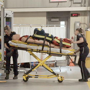 Protecting the safety of Ontario paramedics.