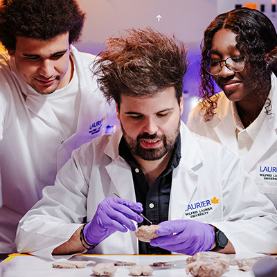 Deciphering the Brain: Building understanding of the body’s most complex organ